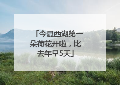 今夏西湖第一朵荷花开啦，比去年早5天