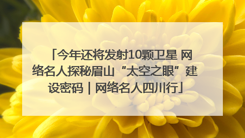 今年还将发射10颗卫星 网络名人探秘眉山“太空之眼”建设密码｜网络名人四川行