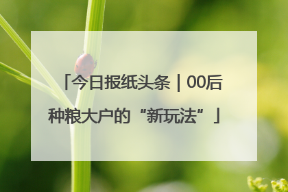 今日报纸头条｜00后种粮大户的“新玩法”