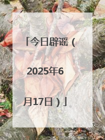 今日辟谣（2025年6月17日）