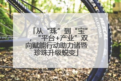 从“珠”到“宝”，“平台+产业”双向赋能行动助力诸暨珍珠升级蜕变