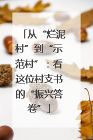 从“烂泥村”到“示范村”：看这位村支书的“振兴答卷”