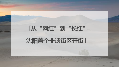 从“网红”到“长红” 沈阳首个非遗街区开街
