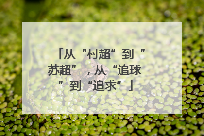 从“村超”到“苏超”，从“追球”到“追求”