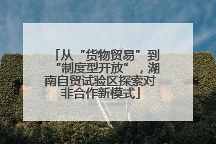 从“货物贸易”到“制度型开放”，湖南自贸试验区探索对非合作新模式