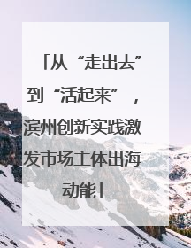 从“走出去”到“活起来”，滨州创新实践激发市场主体出海动能