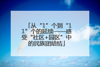 从“1”个到“11”个的延续——感受“社区+园区”中的民族团结情