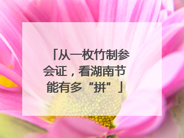 从一枚竹制参会证，看湖南节能有多“拼”