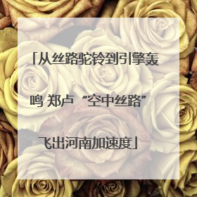 从丝路驼铃到引擎轰鸣 郑卢“空中丝路”飞出河南加速度