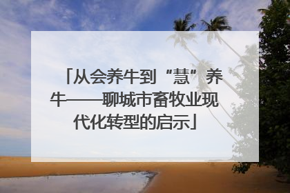 从会养牛到“慧”养牛——聊城市畜牧业现代化转型的启示