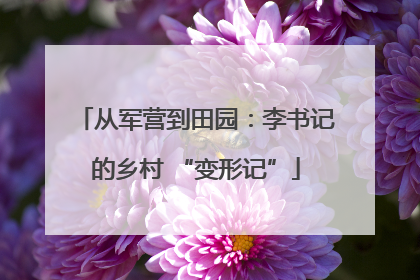 从军营到田园：李书记的乡村 “变形记”