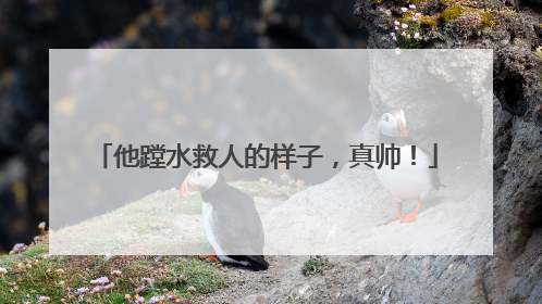 他蹚水救人的样子，真帅！