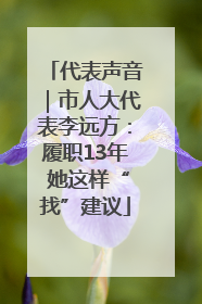 代表声音｜市人大代表李远方：履职13年 她这样“找”建议