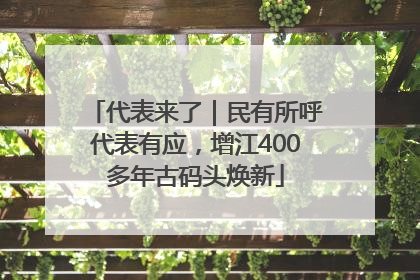 代表来了｜民有所呼代表有应，增江400多年古码头焕新