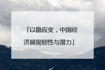 以稳应变，中国经济展现韧性与潜力