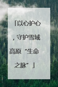 以心护心，守护雪域高原“生命之脉”