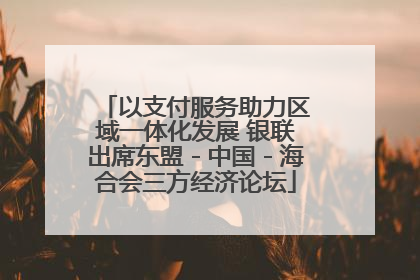 以支付服务助力区域一体化发展 银联出席东盟－中国－海合会三方经济论坛