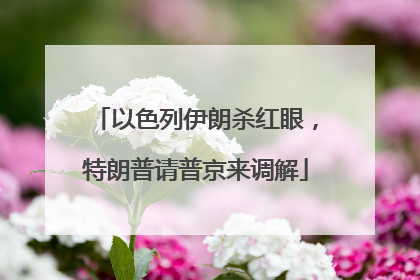 以色列伊朗杀红眼，特朗普请普京来调解