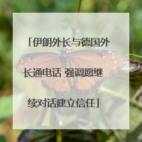 伊朗外长与德国外长通电话 强调愿继续对话建立信任