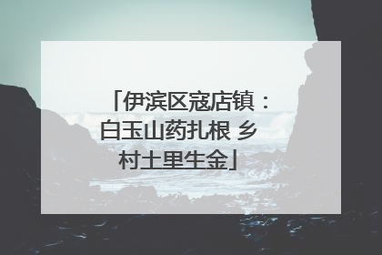 伊滨区寇店镇：白玉山药扎根 乡村土里生金