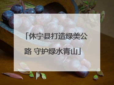 休宁县打造绿美公路 守护绿水青山
