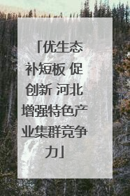 优生态 补短板 促创新 河北增强特色产业集群竞争力