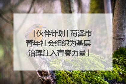 伙伴计划│菏泽市青年社会组织为基层治理注入青春力量