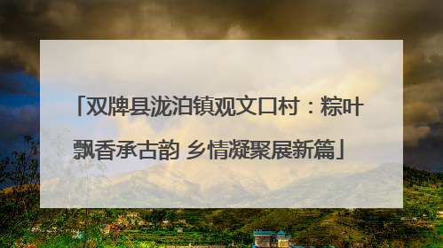 双牌县泷泊镇观文口村：粽叶飘香承古韵 乡情凝聚展新篇
