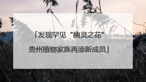 发现罕见“幽灵之花” 贵州植物家族再添新成员