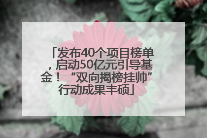 发布40个项目榜单，启动50亿元引导基金！“双向揭榜挂帅”行动成果丰硕