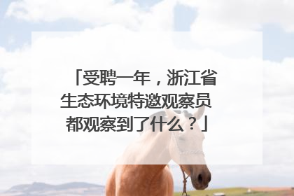 受聘一年,浙江省生态环境特邀观察员都观察到了什么?