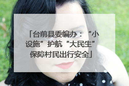 台前县委编办：“小设施”护航“大民生” 保障村民出行安全