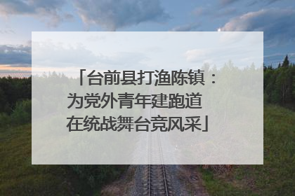 台前县打渔陈镇：为党外青年建跑道 在统战舞台竞风采