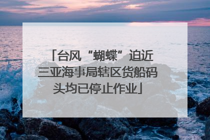 台风“蝴蝶”迫近 三亚海事局辖区货船码头均已停止作业