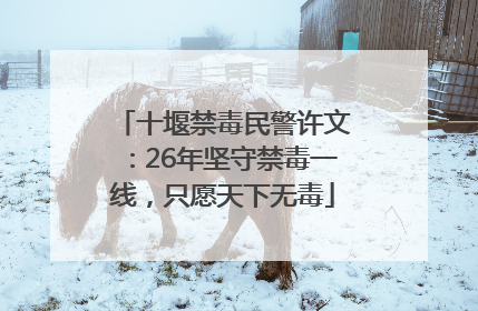 十堰禁毒民警许文：26年坚守禁毒一线，只愿天下无毒