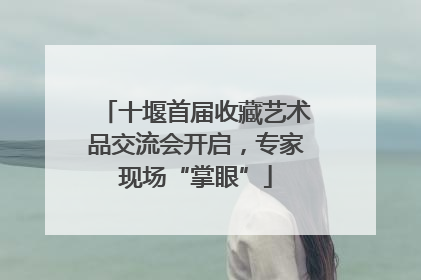十堰首届收藏艺术品交流会开启，专家现场“掌眼”