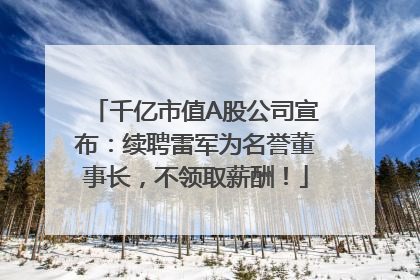千亿市值A股公司宣布：续聘雷军为名誉董事长，不领取薪酬！