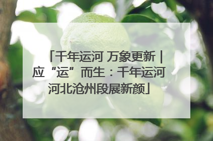 千年运河 万象更新｜应“运”而生：千年运河河北沧州段展新颜