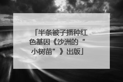 半条被子播种红色基因《沙洲的“小树苗”》出版