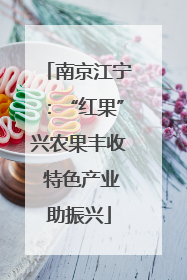 南京江宁：“红果”兴农果丰收 特色产业助振兴