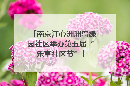 南京江心洲洲岛绿园社区举办第五届“乐享社区节”