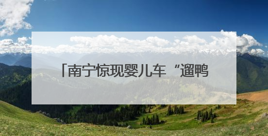 南宁惊现婴儿车“遛鸭”！这波操作太吸睛