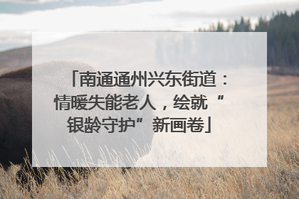 南通通州兴东街道：情暖失能老人，绘就“银龄守护”新画卷