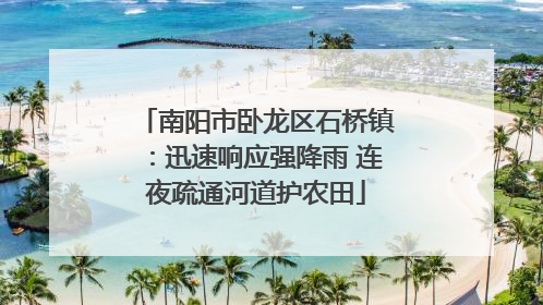 南阳市卧龙区石桥镇：迅速响应强降雨 连夜疏通河道护农田