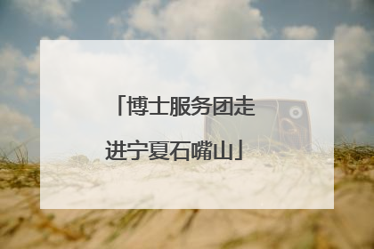 博士服务团走进宁夏石嘴山
