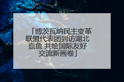 博茨瓦纳民主变革联盟代表团到访湖北嘉鱼 共绘国际友好交流新画卷