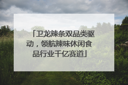 卫龙辣条双品类驱动，领航辣味休闲食品行业千亿赛道
