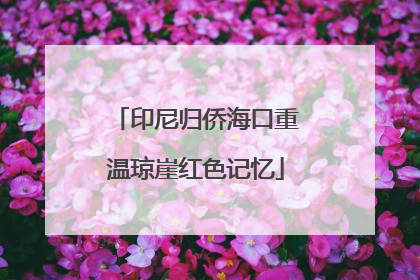 印尼归侨海口重温琼崖红色记忆