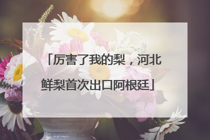 厉害了我的梨，河北鲜梨首次出口阿根廷