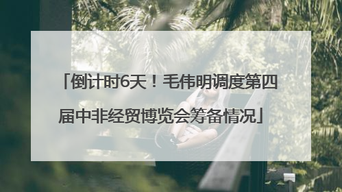 倒计时6天！毛伟明调度第四届中非经贸博览会筹备情况